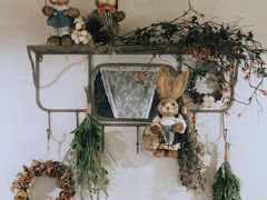 -春风·有糖(崇宁路店)