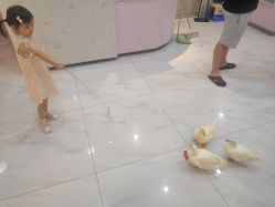 -Moni星球萌宠·小马宝莉·灵蛇·高端高阶全萌宠互动体验俱乐部(红豆国际广场店)