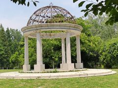 -合肥滨湖国家森林公园