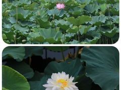 -重元寺