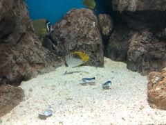 -福州罗源湾海洋世界旅游区