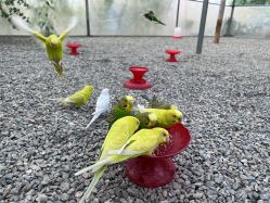 -萌宠亲子动物乐园(槐房万达店)