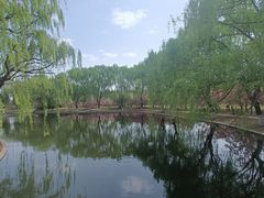 -石家庄市植物园