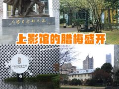 -上海电影博物馆