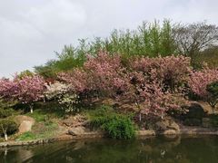 -白马涧龙池景区