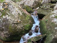 -五女峰国家森林公园