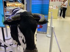 -红星前进面包牛奶公司(君太店)