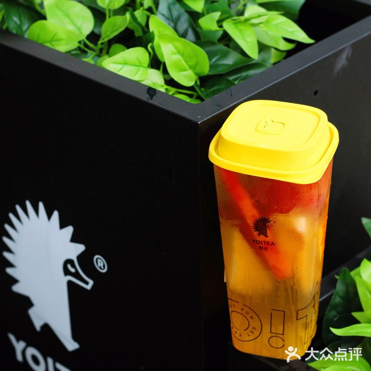 9.9元鲜花|有花有茶#这就是生活的诗和远方～