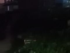 -约翰·菲茨杰拉德·肯尼迪国际机场