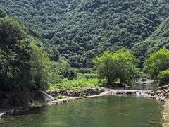 -芦茨金富饭庄·25年老字号·专做稻草鸡