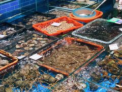 水产区-船奇蒸汽海鲜·闽菜(八市海鲜总店)