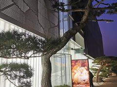 -罗红摄影艺术馆