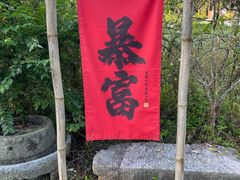 -靖西鹅泉风景区