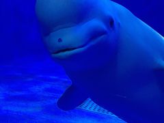 -多彩贵州城极地海洋世界