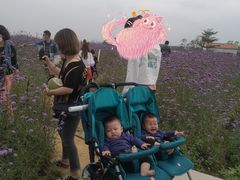 -光明小镇欢乐田园