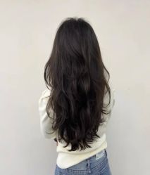 -艺之剪