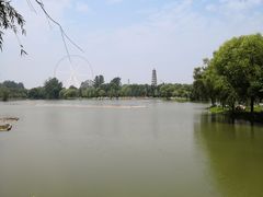 -祥源·阜阳生态乐园