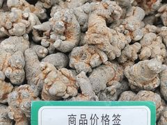 -清平中药材专业市场