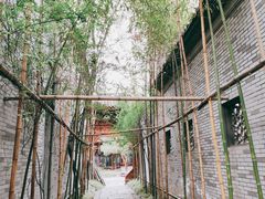 -龙潭水乡