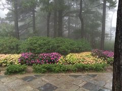 -庐山风景区花径公园