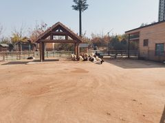 -太原动物园