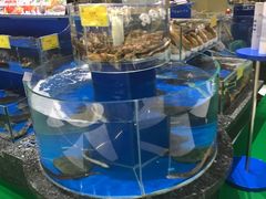 -新海渔港·胶东海鲜家常菜·家宴(奥体中心店)