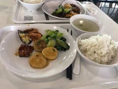 -顺德职业技术大学