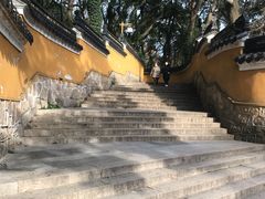 -普陀山风景名胜区-法雨禅寺