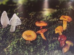 -沈阳铁西万象汇