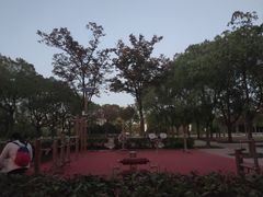 -新江湾城公园