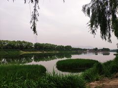 -亲兄弟真人CS团建拓展基地