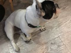 -小时光咖啡馆(北锣鼓巷店)