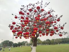 -万绿园