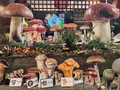 -昆明洲际酒店