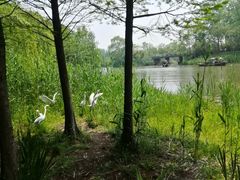 -溱湖国家湿地公园