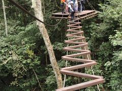 -西双版纳原始森林公园