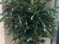 -LA合时健身4PMFIT(花桥旗舰店)