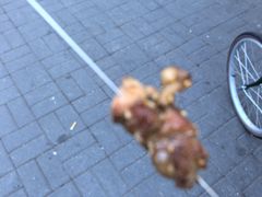 -景泰马记电烤串(景泰店)