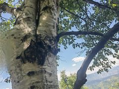 -灵山