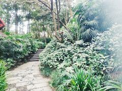 -青城道汤池