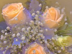 -循礼门鲜花花市(武汉循礼门店)