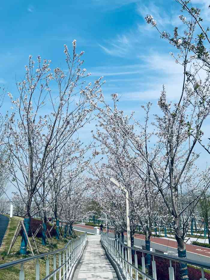 桥北滨江生态公园-"心情不好想放松一下,跟男朋友提议去看长江.