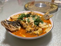 -煲来饱去冷水鱼