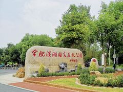 -合肥滨湖国家森林公园