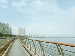 -野狸岛