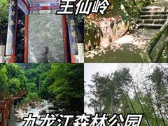 -仰天湖大草原