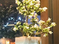 -AFS Cafe & Canteen(闽江二路店)
