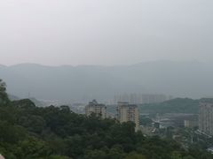 -金鸡山公园