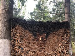 -回龙观体育文化公园