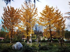 -绵阳人民公园(涪城区)